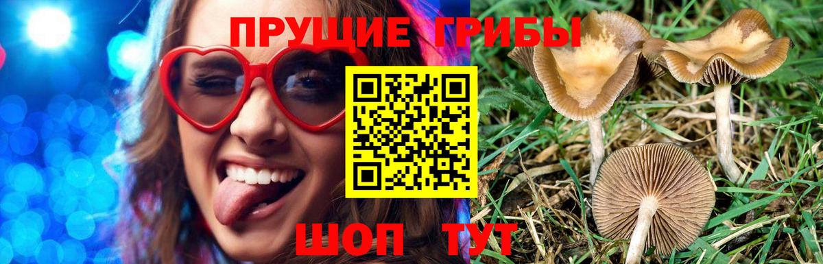 Галлюциногенные грибы GOLDEN TEACHER Черемхово