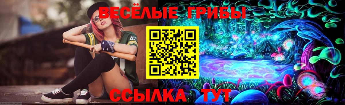 Псилоцибиновые грибы GOLDEN TEACHER  Вход с VPN  Черемхово  Галлюциногенные грибы Magic Shrooms 